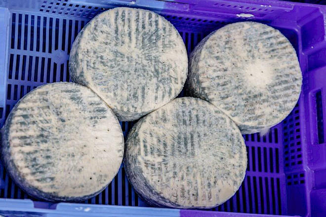 Affinage du bleu de Bonneval
