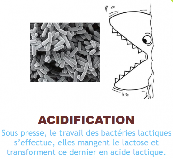 Schéma des étapes et processus d'acidification